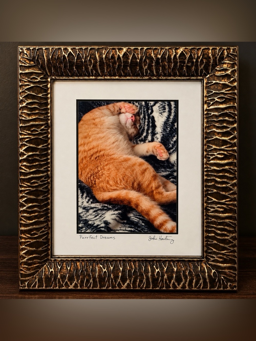 Hand Signed John Hartung Purrfect Dreams Framed Tabby Cat Art Print Black Kitty